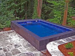 Want To Swim At Home But Don T Have The Room For A Lap Pool Swim In Place With An Endless Pool Backyard Pool Designs Endless Pool Dipping Pool