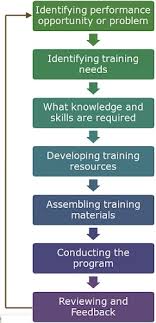 Difference Between Training And Development With Comparison