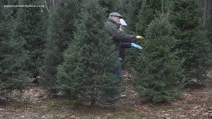 Maybe you would like to learn more about one of these? Paying More For Christmas Trees In Maine Newscentermaine Com