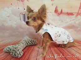Schnittmuster jerseykleid gloria mit videoanleitung. Freebook Tutorial Schnittmuster Jacke Fur Hunde