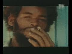 I can't hear you, peach. Best Sun Is Shining Gifs Gfycat