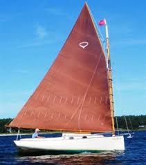 Résultat de recherche d'images pour "cat boat"