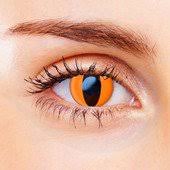 Easysmall cat brown contact lenses colored eye lenses color contact lens makeup nordic mythology degrees myopia prescripti. Orange Contact Lenses Color Vision Orange Cat Contacts