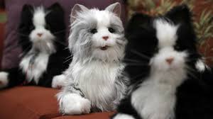 People with varying degrees of dementia and alzheimer's. Fau Project To See How Mechanical Cats Help Dementia Patients During The Coronavirus Pandemic South Florida Sun Sentinel