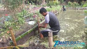 Dari jenis air tawar, hingga ikan air laut, semuanya cukup unik dan lucu untuk dinikmati. Rawa Kotor Disulap Jadi Kolam Ikan Air Tawar Pantura7 Com Referensi Berita Jalur Utara
