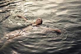 Liquid leisure, near slough liquid leisure offer a variety of swim courses to suit your ability and training. Young Woman Floating In Water Relaxing In Summer Stockphoto