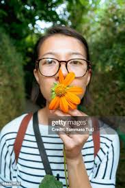 672 Fern Like Leaves Stock Photos, High-Res Pictures, and Images