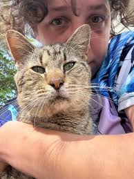 Just for all the cat guys to look at!!