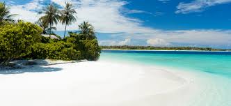 Please consider that some students were possibly confused by the 'desert' in desert island and thus wanted to bring items to help them survive the extremities of an arid climate. 3 Things People Would Take To A Desert Island Globelink Blog