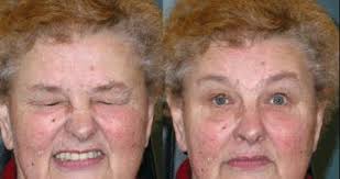 Image result for Blepharis transvaalensis