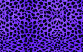 Leopard print wallpapers best car 2015. Best 30 Cheetah Twitter Backgrounds On Hipwallpaper Pink Cheetah Wallpaper Sweet Cheetah Print Wallpaper And Rainbow Cheetah Wallpaper