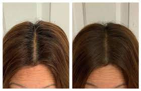 Sevich Hairline Root Touch Up Powder Glamtouche Hair Inspiration Color Hair Blonde Roots