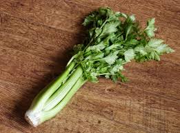 Yes, celery is quite good for puppies once they are weaned which is usually around 8 weeks. Can Dogs Eat Celery Raw Or Cooked Is Celery Good Or Bad For Dogs