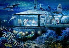 Direct matches stats vasco da gama ceara. Gallery Of Zahner Produce Facade For Brazil S Acquario Ceara Aquarium 5