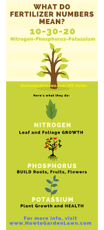 What Fertilizer Numbers Mean Howtogardenlawn Com S Fertilizer Infographic With Pictures And An Explanation Of Fertilizer For Plants Fertilizer Diy Fertilizer
