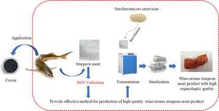Create er diagrams the shortened name for entity relationship diagrams and other software drawings online using our erd diagram tool. Comparative Study On Quality Characteristics Of Pickled And Fermented Sturgeon Acipenser Sinensis Meat In Retort Cooking International Journal Of Food Science Technology X Mol
