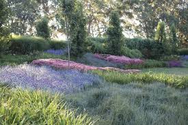 Another way to ensure your garden stays naturally healthy is to plant species native to your climate. 11 Ideas To Steal From Drought Tolerant Gardens Gardenista