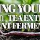 Feed your Soil Microbes with Tea Extracts and Plant Fermentation