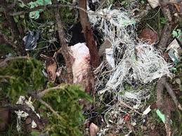 #dr.ysr #chopper crash #cbi #accident the helicopter crash that killed former andhra chief minister ysr reddy was an accident, says the cbi in a report. Ysr Dead Body Photos Latest News In Hyderabad Telangana Andhra Pradesh Breaking News Hyderabad News World News Business Politics