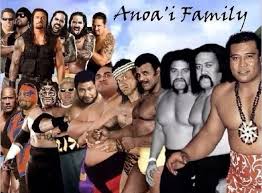 Roman reigns is a famous wwe wrestler and a former professional gridiron football player. The Best Family In The Wwe Wrestling Amino