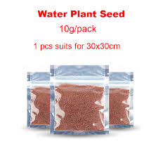 بذور عشبية مائية لحوض الأسماك بذور للنباتات من Glossostigma Hemianso كاليتريكوديس تنمو بسرعة بذور لخزان الأسماك خلفية حوض السمك Hemianthus Callitrichoides Grass Aquariumfor Fishing Aliexpress