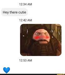 12 34 Am Hey There Cutie 12 42 Am 12 53 Am Ifunny Harry Potter Memes Hilarious Stupid Funny Memes Memes