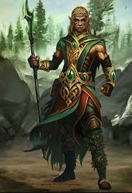 M Wood Elf Cleric Med Armor Bardiche Cloak Conifer Forest Hills Rough Elf Druid Druid Elf Warrior