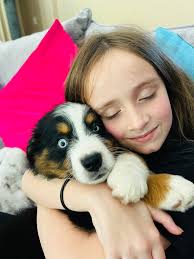 Hello my name is Jack and I am a complete bully to my brother Jesse.