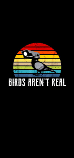 Birds Aren T Real 1440x2960 Amoledbackgrounds Wallpaper Pc Make Pictures Birds
