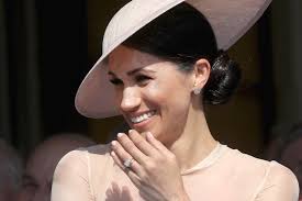 Düğün Sonrası Prens Harry'yi Arı soktu