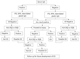 World gastroenterology organisation global guidelines on celiac disease. Celiac Disease Prevalence Diagnosis Pathogenesis And Treatment