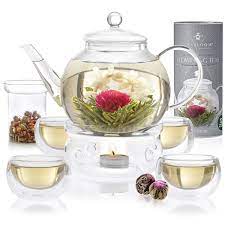 Tea tree is an exciting essential oil for cape mountain oils. Buy Teabloom Flowering Tea 12 Unique Varieties Of Fresh Blooming Tea Flowers Hand Tied Natural Green Tea Leaves Edible Flowers 12 Pack Gift Canister 36 Steeps Makes 250 Cups Online In South Africa B01hhdoalw