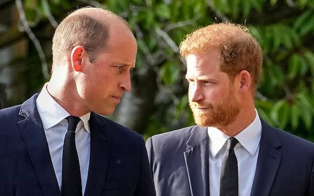 Prince William and Harry's reconciliation is just for mourning, not for life