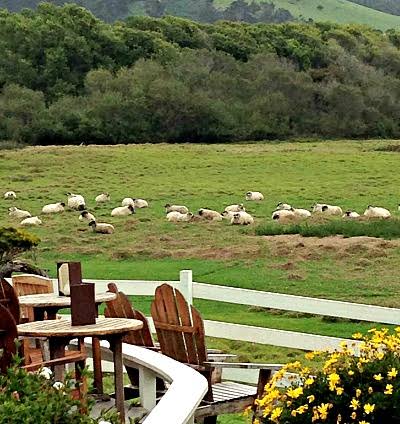 Mission Ranch