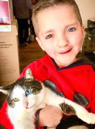 Boy meets cat doppleganger in Oklahoma shelter