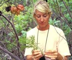 Image result for Pancovia golungensis