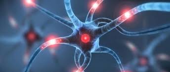 La sclerosi multipla è una malattia neurodegenerativa debilitante. Sclerosi Multipla Nuovi Orizzonti Per La Cura Dall Universita Di Catania Liveunict