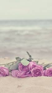  Iphone 5c Wallpaper Iphone Wallpaper Vintage Iphone Wallpaper Vintage Quotes Beautiful Flowers