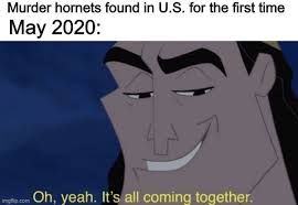Find and save hornets nest memes | from instagram, facebook, tumblr, twitter & more. 21 Murder Hornet Memes To Sting Your Funny Bone Funny Gallery