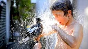 Penguin bloom is a 2020 drama film directed by glendyn ivin, from a screenplay by shaun grant and harry cripps, and is based on the book of the same name by cameron bloom and bradley trevor. Penguin Bloom Book Trailer Youtube