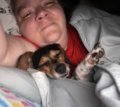 I'm so excited to meet (Chat) with other Chiweenie parents!🐾