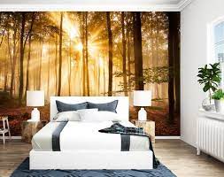 Fototapete für schlafzimmer (53141 bilder). Wandmotiv24 Fototapete Wald Am Morgen Fototapeten Schlafzimmer Wandbild Sonne Licht Strahl Entspannung M0391 Landschaft Fototapeten Gunstig Kaufen