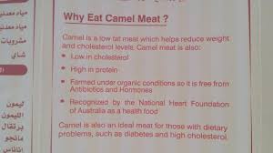 A vegetarian diet is naturally low in fats and high in fibre, and its pros usually outweigh the cons but being vegetarian has its risks. Why Camel Meat Picture Of Zaina Restaurant Dubai Tripadvisor