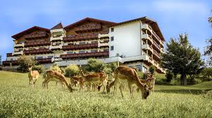 Book online, pay at the hotel. Ihr 4 Sterne Superior Hotel In Der Eifel Wellnesshotel Kastenholz
