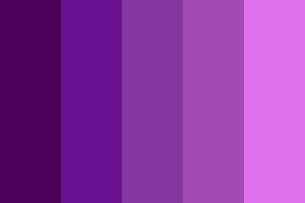 Indigo Violet Color Palette Violet Color Palette Purple Color Palettes Purple Color