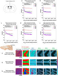 Maybe you would like to learn more about one of these? Biological Tissue Sample Preparation For Time Of Flight Secondary Ion Mass Spectrometry Tof Sims Imaging Nano Convergence Full Text