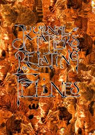 Let me know in the. Journal Of Matters Relating To Felines Autumn 2019 By Journalofmattersrelatingtofelines Issuu