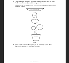A schematic diagram is a picture that represents the components of a process, device, or other object using abstract, often standardized symbols and lines. Solved 1 This Is A Schematic Diagram Of The Human Circul Chegg Com