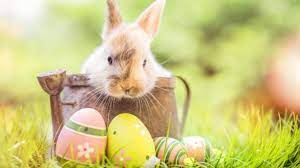 Consultez la date et l'origine de la fête de pâques qui célèbre la résurrection du christ jésus. Tout Savoir Sur Les Traditions De Paques Mon Jardin D Idees Mon Jardin D Idees
