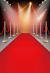 Red Carpet Dresses